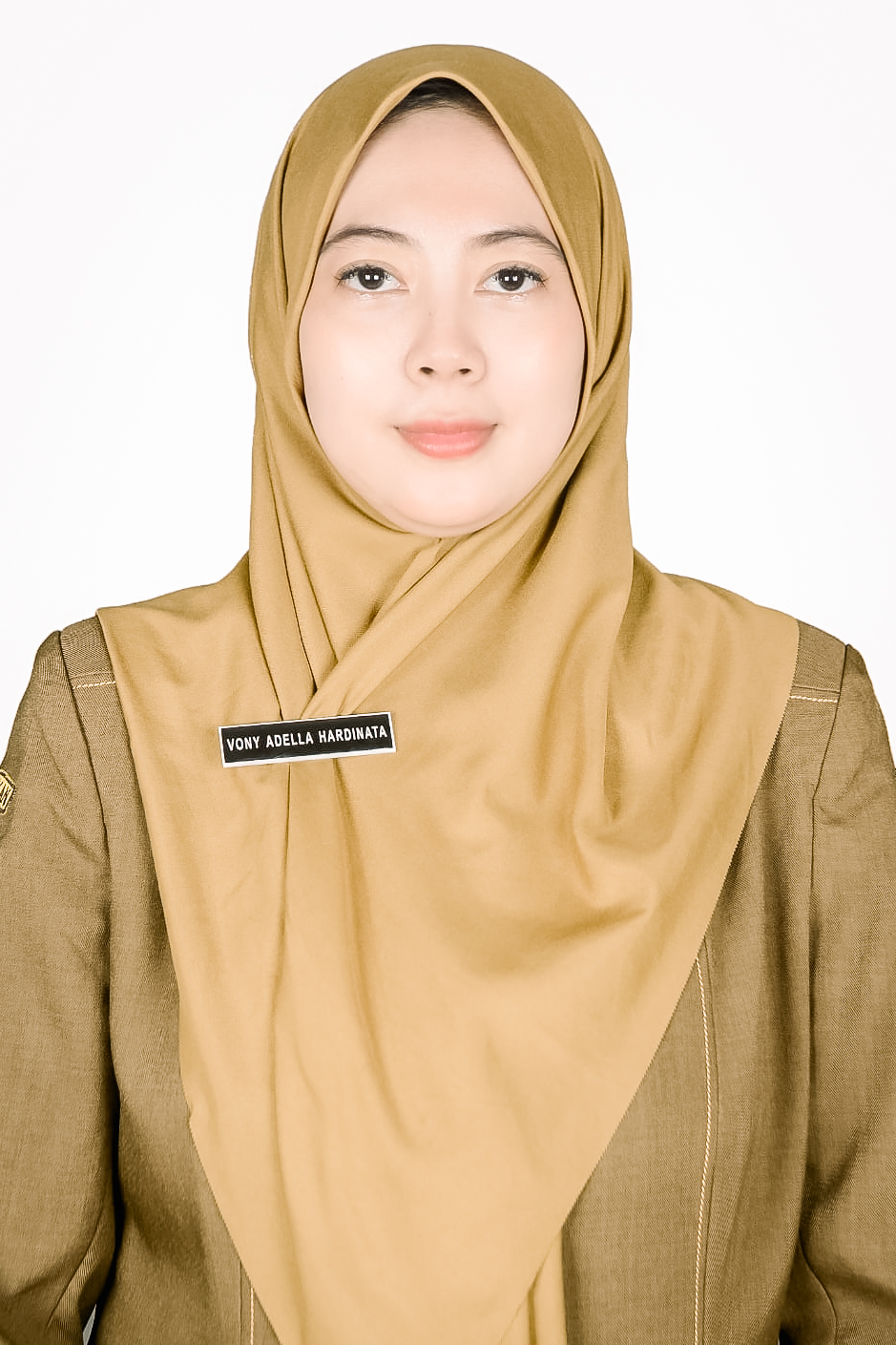  VONY ADELLA HARDINATA, S. T. P